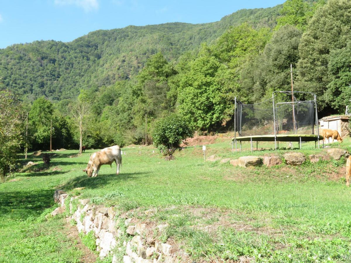 El Paller Del Moli De La Plana Riudaura المظهر الخارجي الصورة
